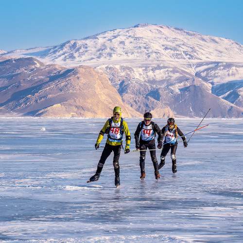 Photo #11697466