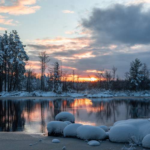 Photo #11697492