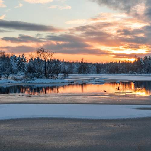 Photo #11697497