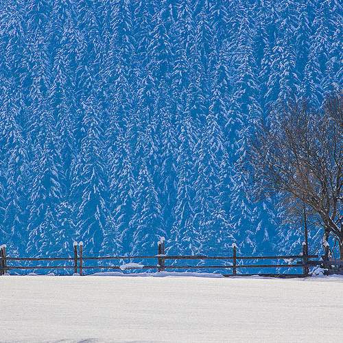 Mood in winter