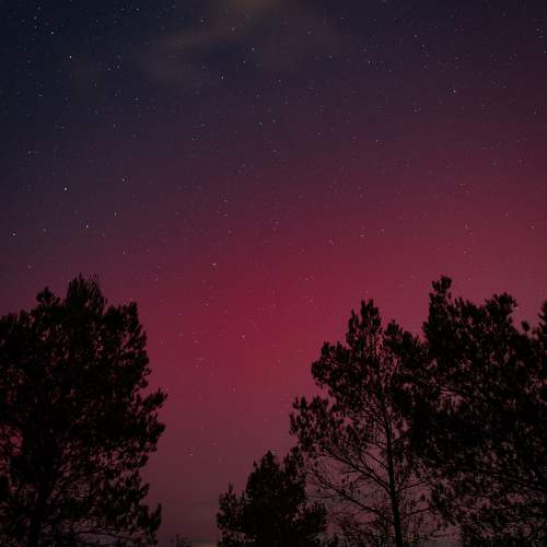 Photo #11697575