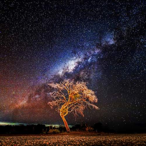 Photo #11697657