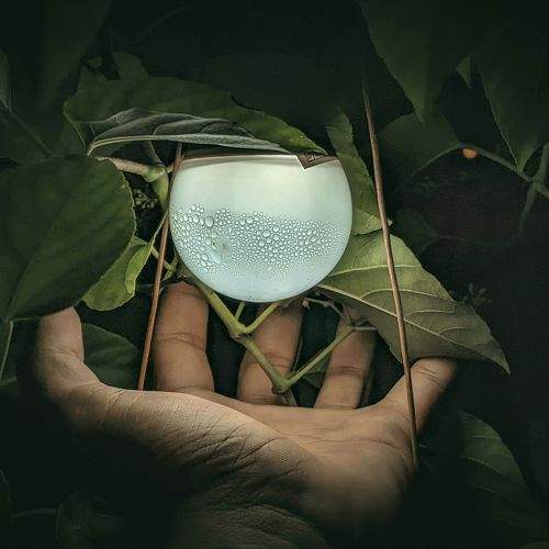 Photo #11697700