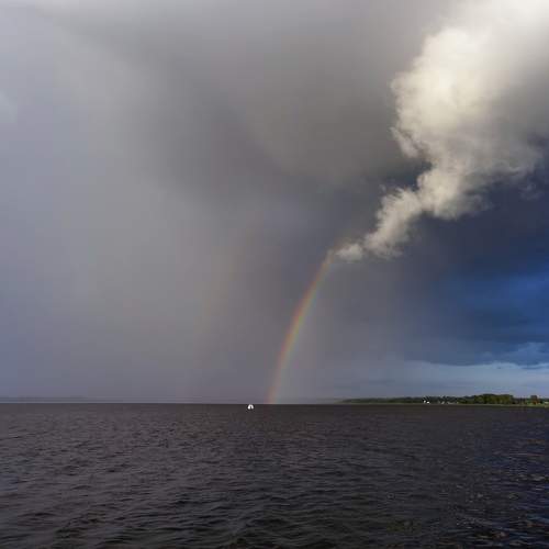 Photo #11697840