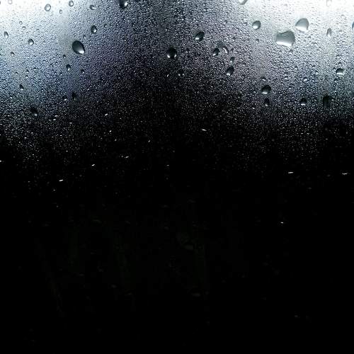 Photo #11697867