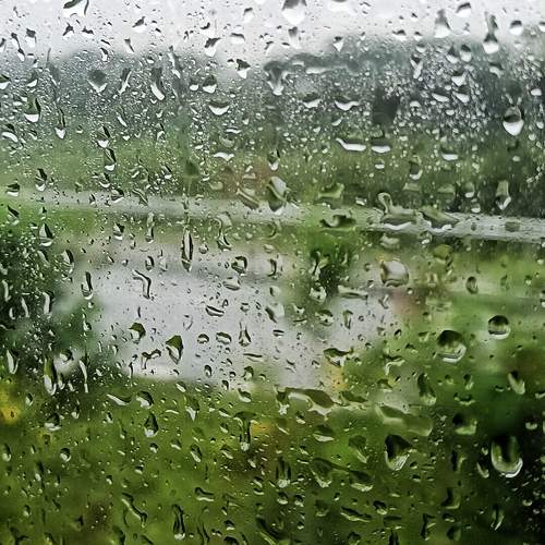 Photo #11698100