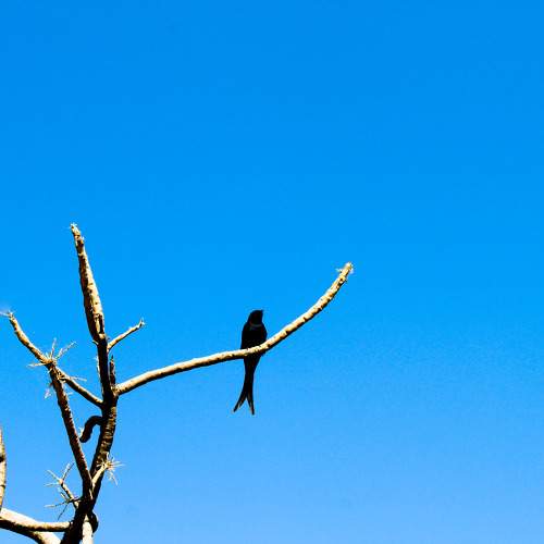 Photo #11698264
