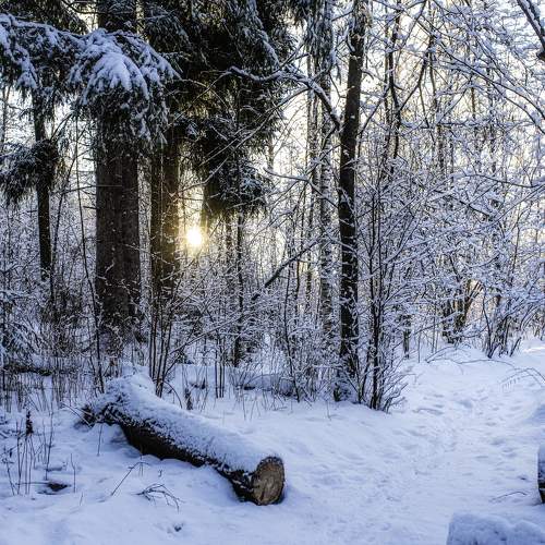 Photo #11698479