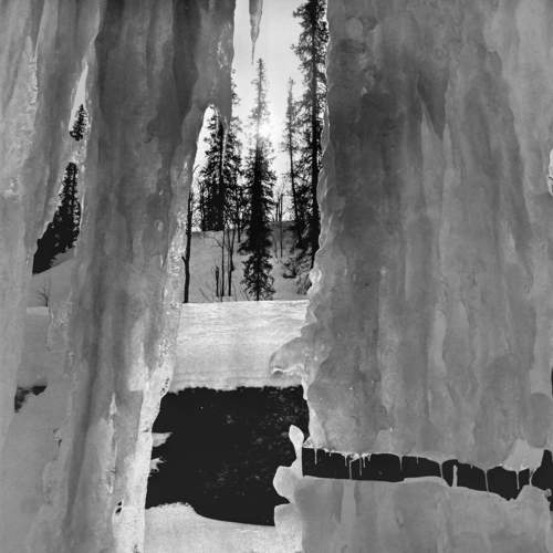 Photo #11698667