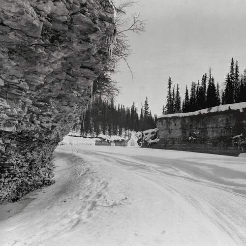 Photo #11698680