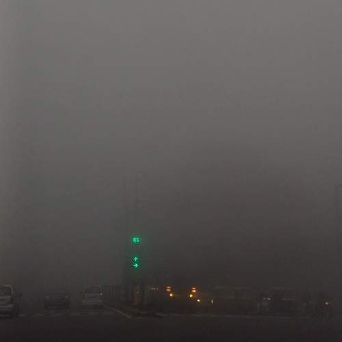 Photo #11698999