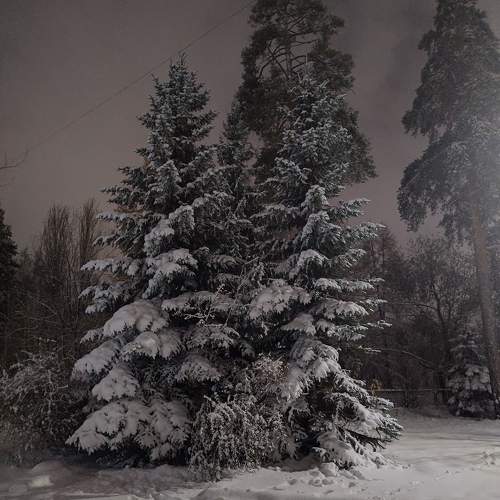 Photo #11699047
