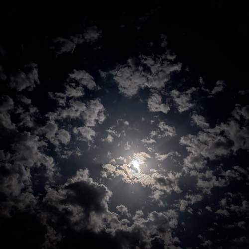Photo #11699270
