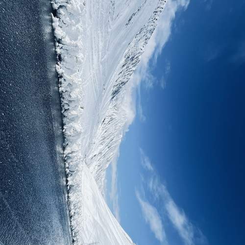 Photo #11699334