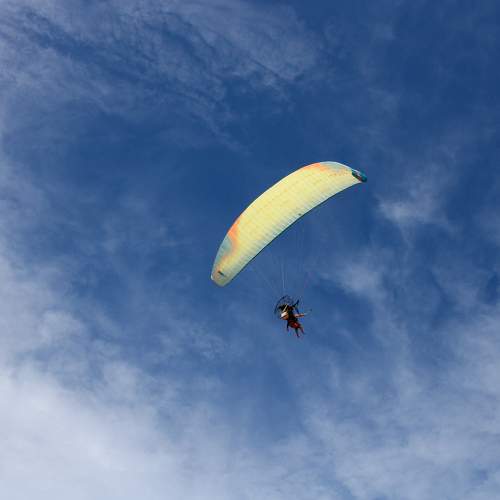 Photo #11699335