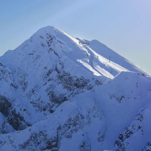 Photo #11699377