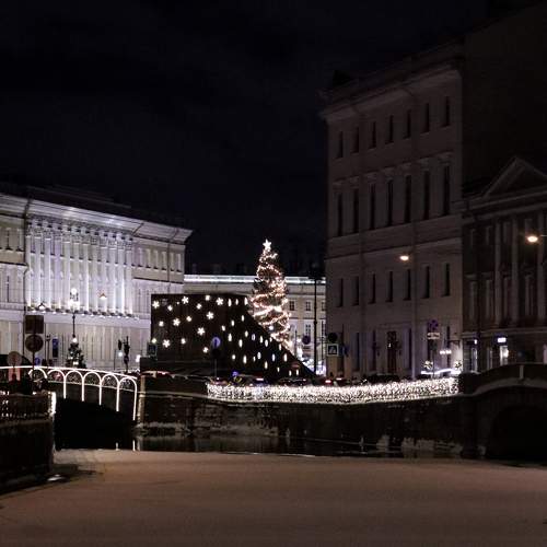 Photo #11699525
