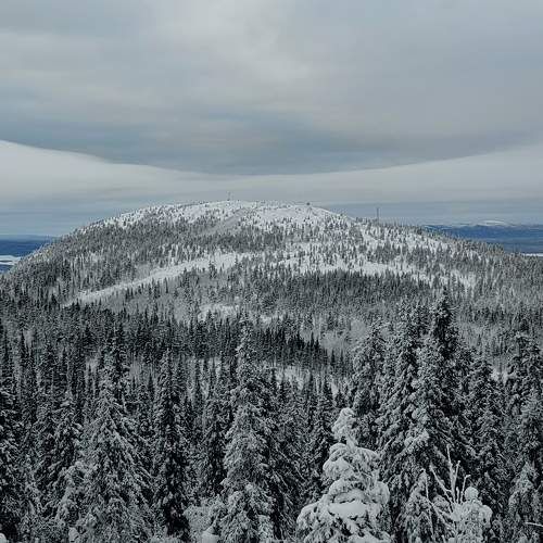 Photo #11699548