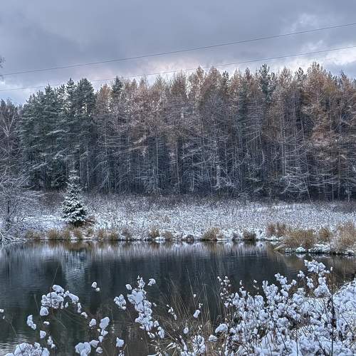 Photo #11699549