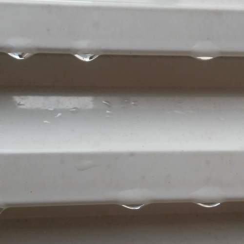Photo #11699731