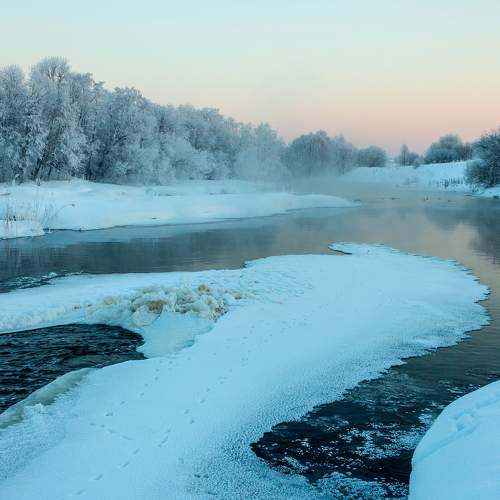 Photo #11699762