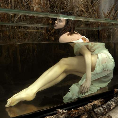 Photo #11699904