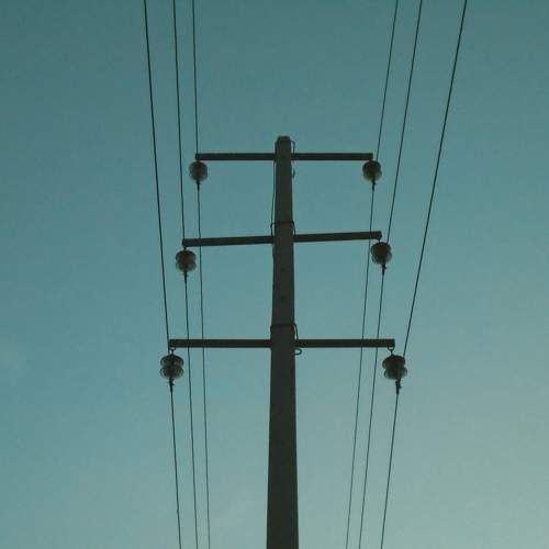 Photo #11699910