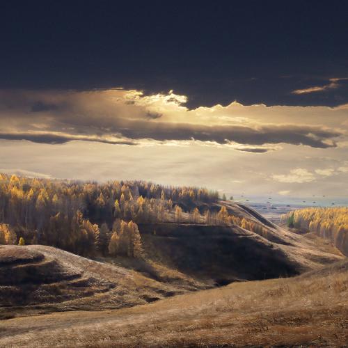 Вечерний свет.