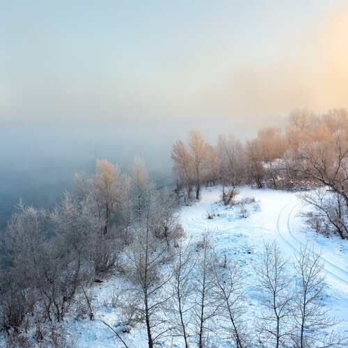Photo #1170821