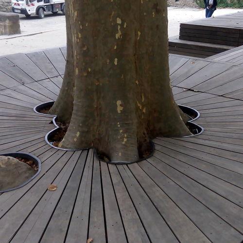 Уважение к природе