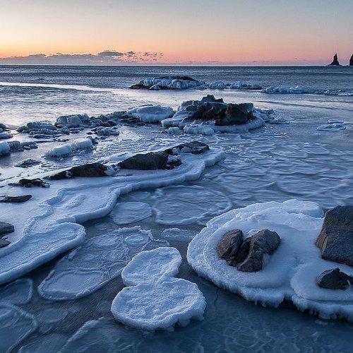 Один день из жизни теплых морей...