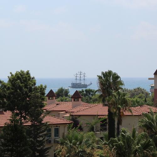 Photo #1172356