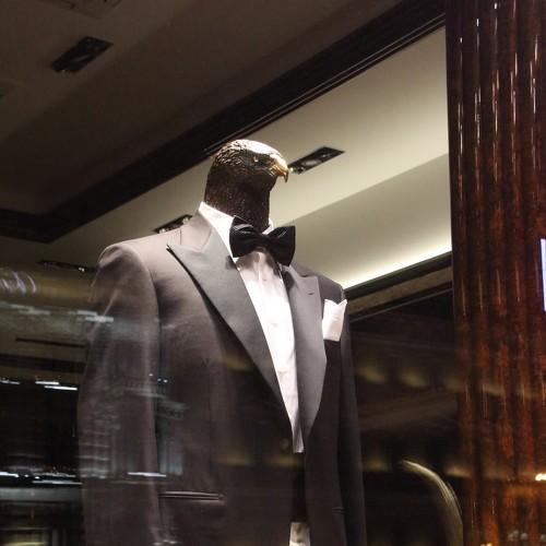 Photo #1172567