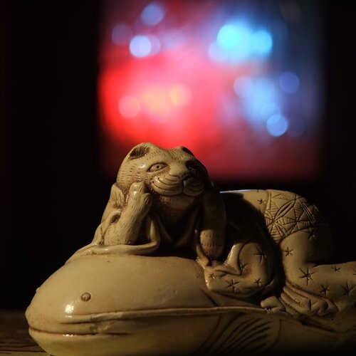 Кот