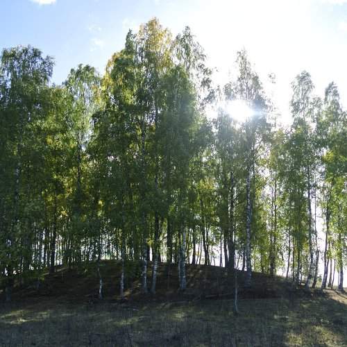 Солнце