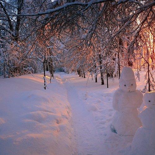 Романтика зимнего вечера