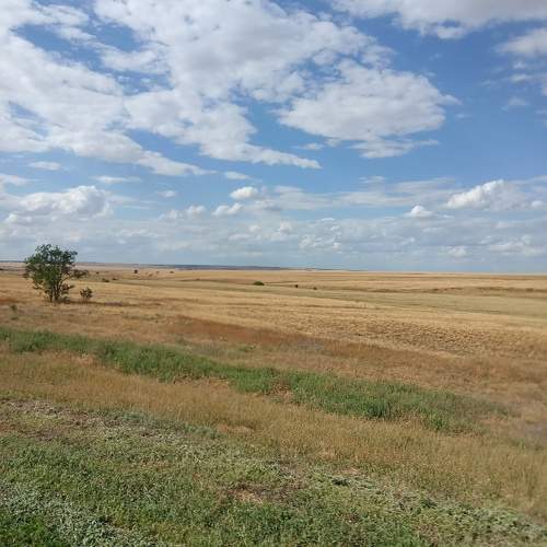 Photo #11700045