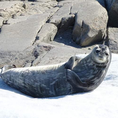Photo #11700151