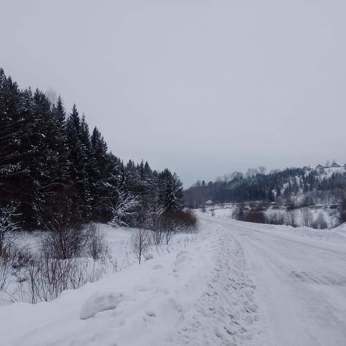 Photo #11700274