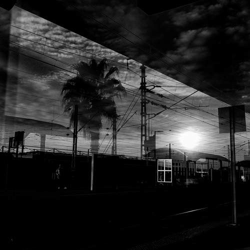 Photo #11700323