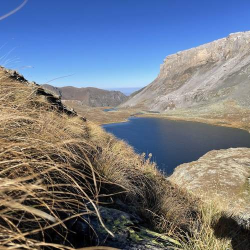 Photo #11700366