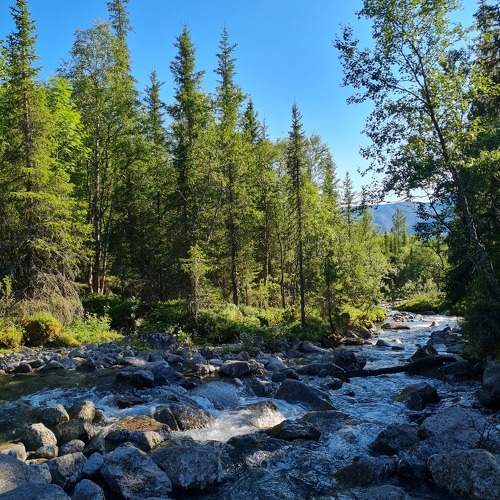 Photo #11700434