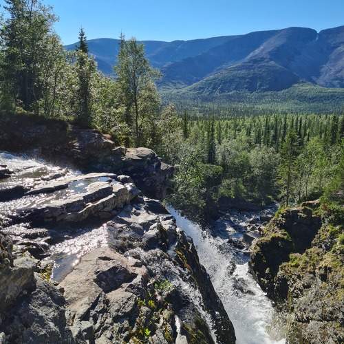 Photo #11700467