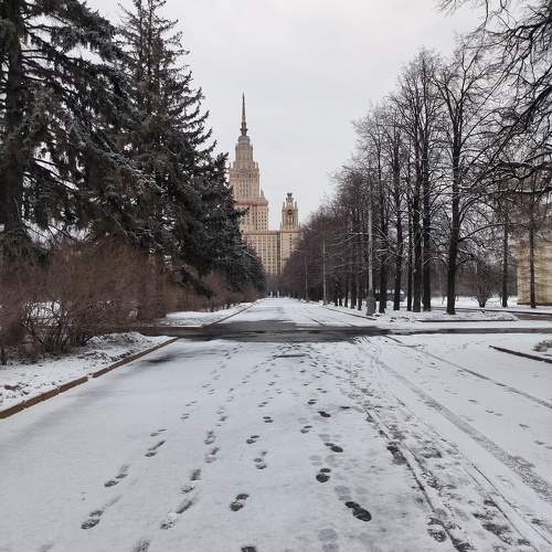 Photo #11700898