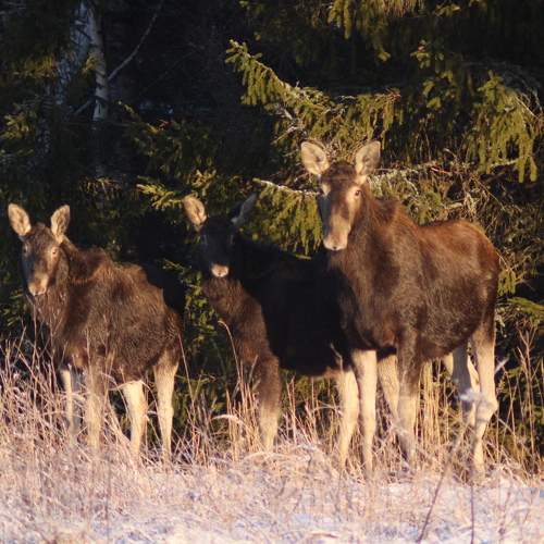 Photo #11700977