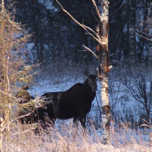 Photo #11700978