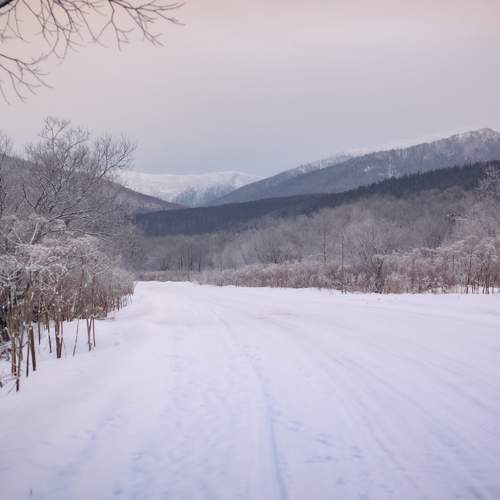 Photo #11701073