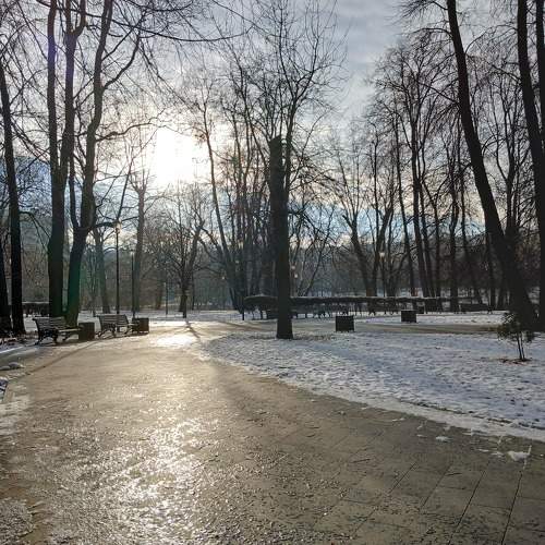 Золотая дорога