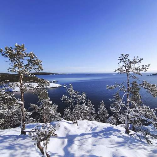 Photo #11701272