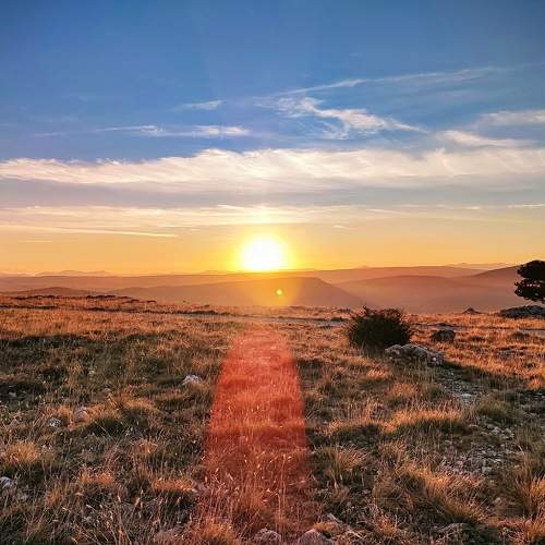 Photo #11701291